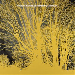 Nada Surf